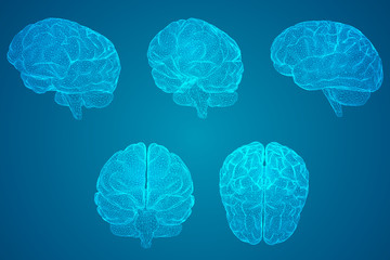 家庭养花入门知识大全