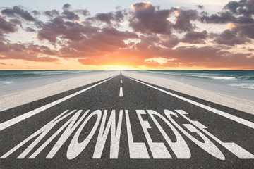 家庭养花入门知识大全