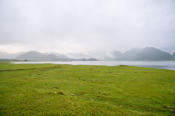 家庭养花入门知识大全