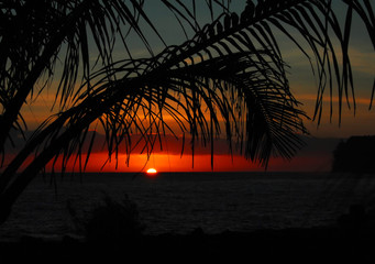 部编版小学六年级上册语文只有一个地球教案5篇