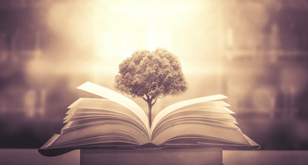 幼儿园小学生教案怎么写