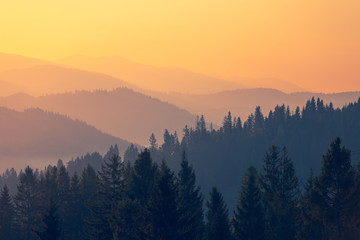 简便运算4年级简便运算大全