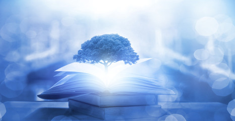 揭阳高铁站在哪里？