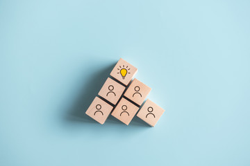 家庭养花入门知识大全