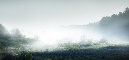 家庭养花入门知识大全