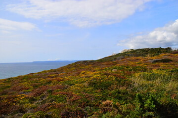 微生物有哪些作用？