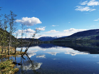 家庭养花入门知识大全