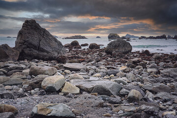 印迹和印记什么意思区别