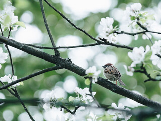 微生物有哪些作用？
