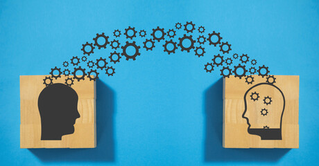 家庭养花入门知识大全