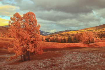 揭阳高铁站在哪里？
