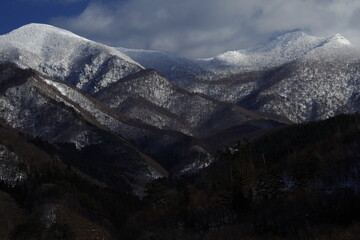家庭养花入门知识大全
