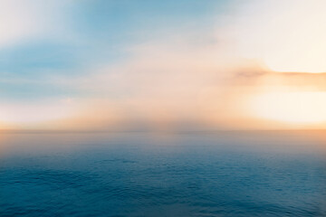 家庭养花入门知识大全