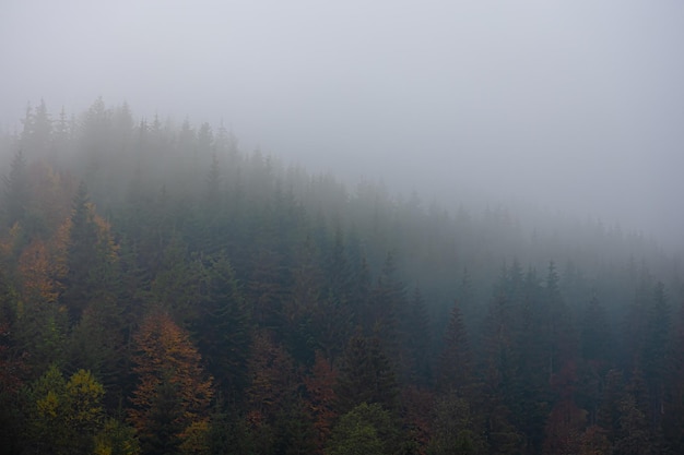 部编版小学六年级上册语文只有一个地球教案5篇