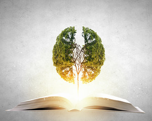 家庭养花入门知识大全