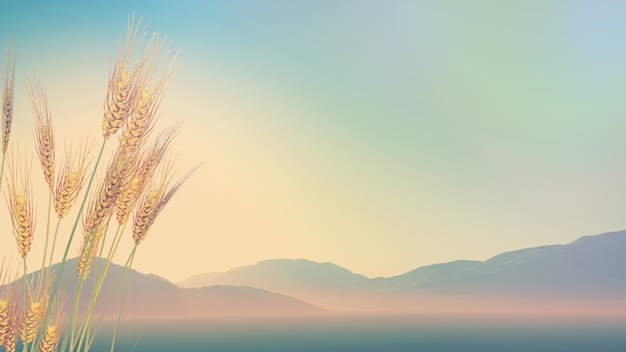 要三首英文歌歌词