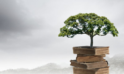 揭阳高铁站在哪里？