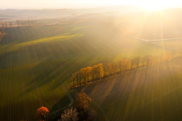 简便运算4年级简便运算大全